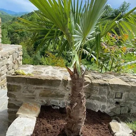 Cascina Vassalo Ceva Sale San Giovanni