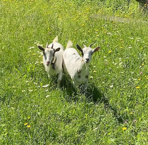 Cascina Vassalo Ceva *